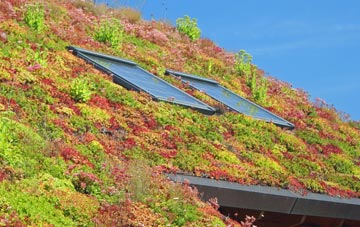 Michaelchurch On Arrow living roof systems