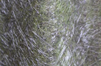 Michaelchurch On Arrow fibreglass roof work