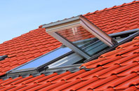 Michaelchurch On Arrow roof window